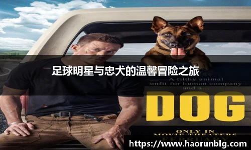 足球明星与忠犬的温馨冒险之旅